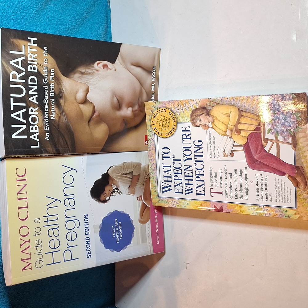 Pregnancy Book Bundle, Maternity Books, Mom Books Book Bindle